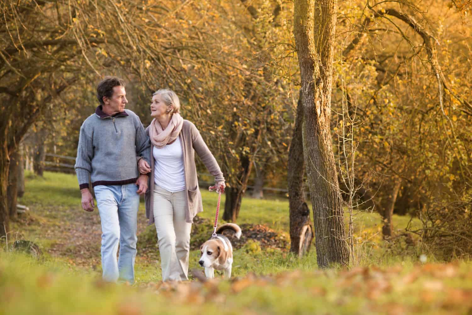A retired couple walking their dog in a park