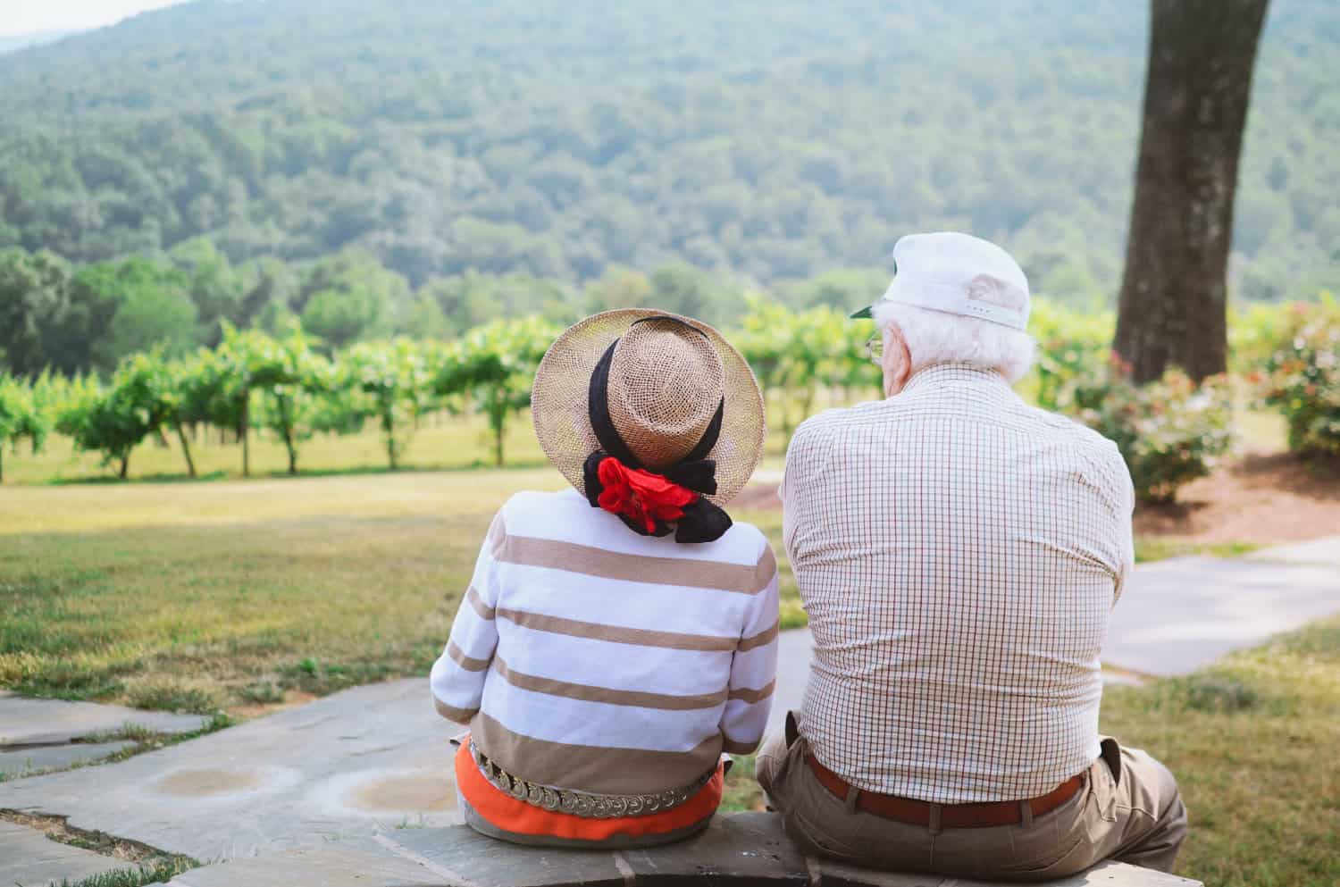 Grandparents sitting together in an open field